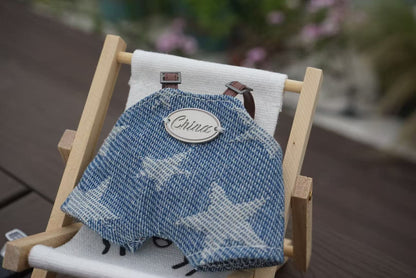 Labubu Doll Outfit - 17cm Trendy Spring Holiday Strappers Suit